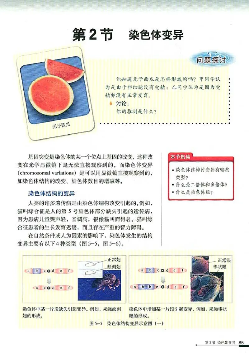 高中生物必修2遗传与进化(1)_教资初高中_教资面试2025教资面试备考资料合集_教资面试资料合集_2025教资面试资料_25上教资面试-小学资料包_20教材：全册_高中_高中生物