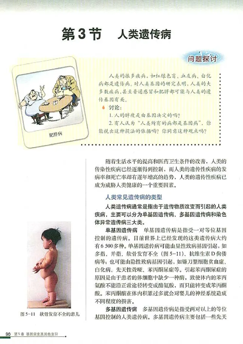 高中生物必修2遗传与进化(1)_教资初高中_教资面试2025教资面试备考资料合集_教资面试资料合集_2025教资面试资料_25上教资面试-小学资料包_20教材：全册_高中_高中生物