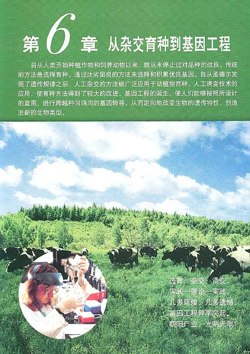 高中生物必修2遗传与进化(1)_教资初高中_教资面试2025教资面试备考资料合集_教资面试资料合集_2025教资面试资料_25上教资面试-小学资料包_20教材：全册_高中_高中生物