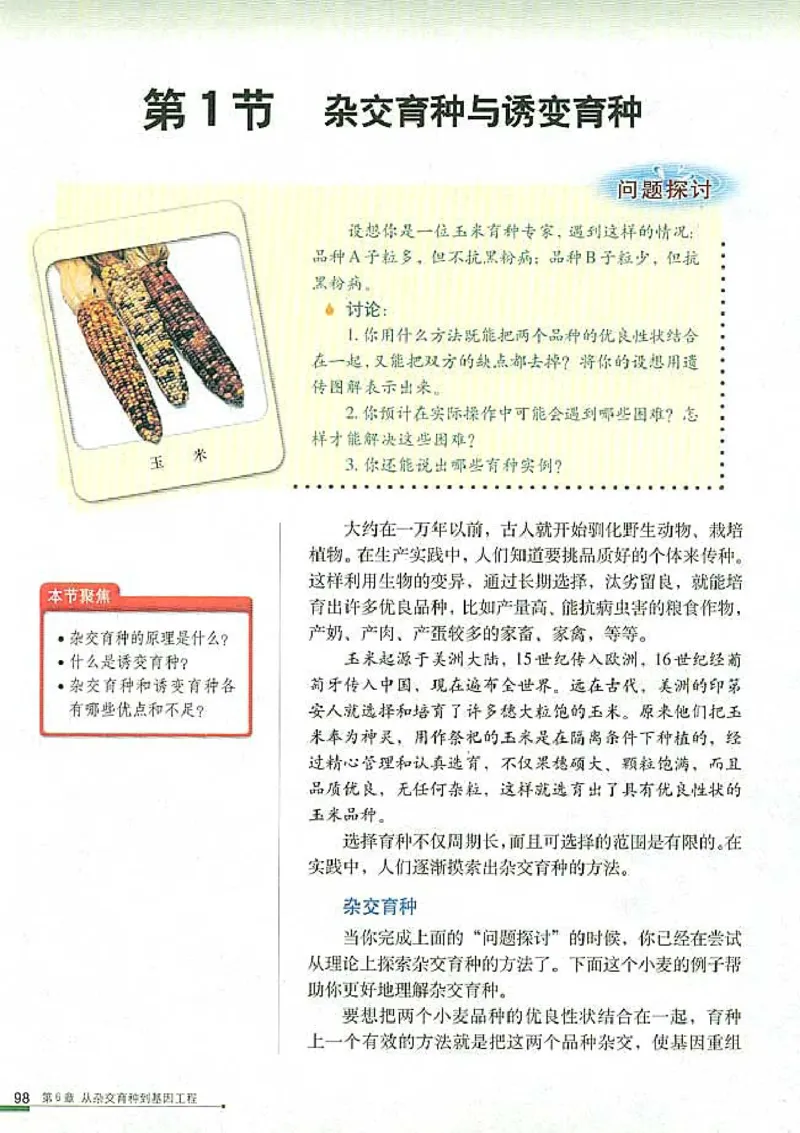 高中生物必修2遗传与进化(1)_教资初高中_教资面试2025教资面试备考资料合集_教资面试资料合集_2025教资面试资料_25上教资面试-小学资料包_20教材：全册_高中_高中生物