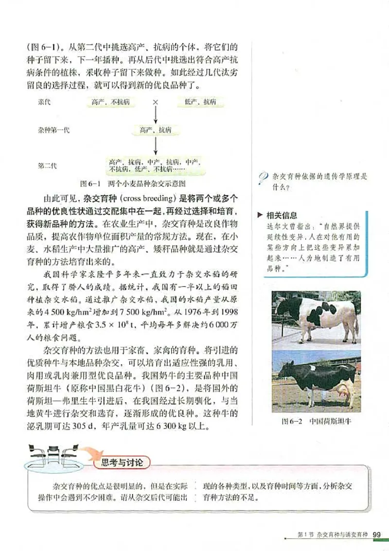 高中生物必修2遗传与进化(1)_教资初高中_教资面试2025教资面试备考资料合集_教资面试资料合集_2025教资面试资料_25上教资面试-小学资料包_20教材：全册_高中_高中生物