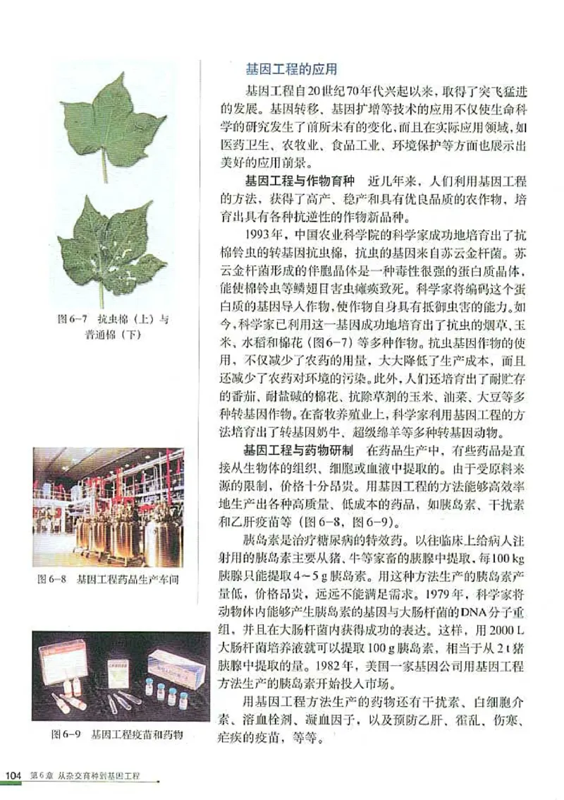 高中生物必修2遗传与进化(1)_教资初高中_教资面试2025教资面试备考资料合集_教资面试资料合集_2025教资面试资料_25上教资面试-小学资料包_20教材：全册_高中_高中生物