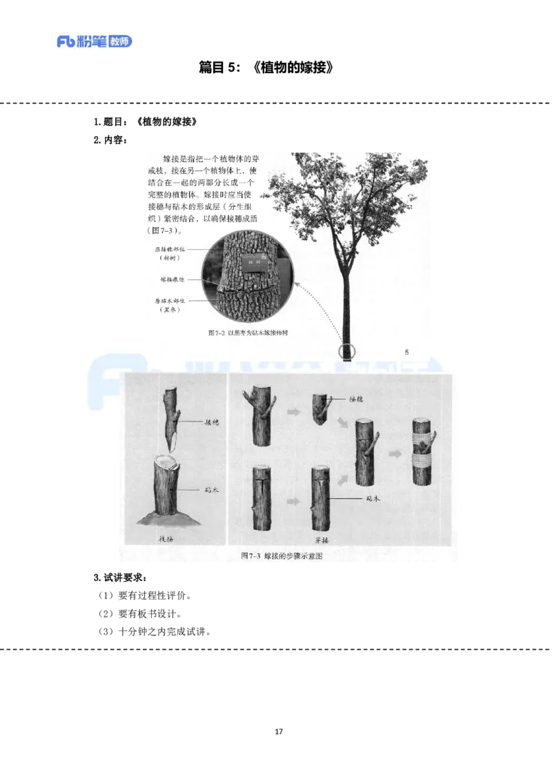 高频试题教资面试-精选考题解析合集-初中生物_教资初高中_教资面试2025教资面试备考资料合集_教资面试资料合集_教资面试各科资料包_生物备考资料包_初中生物