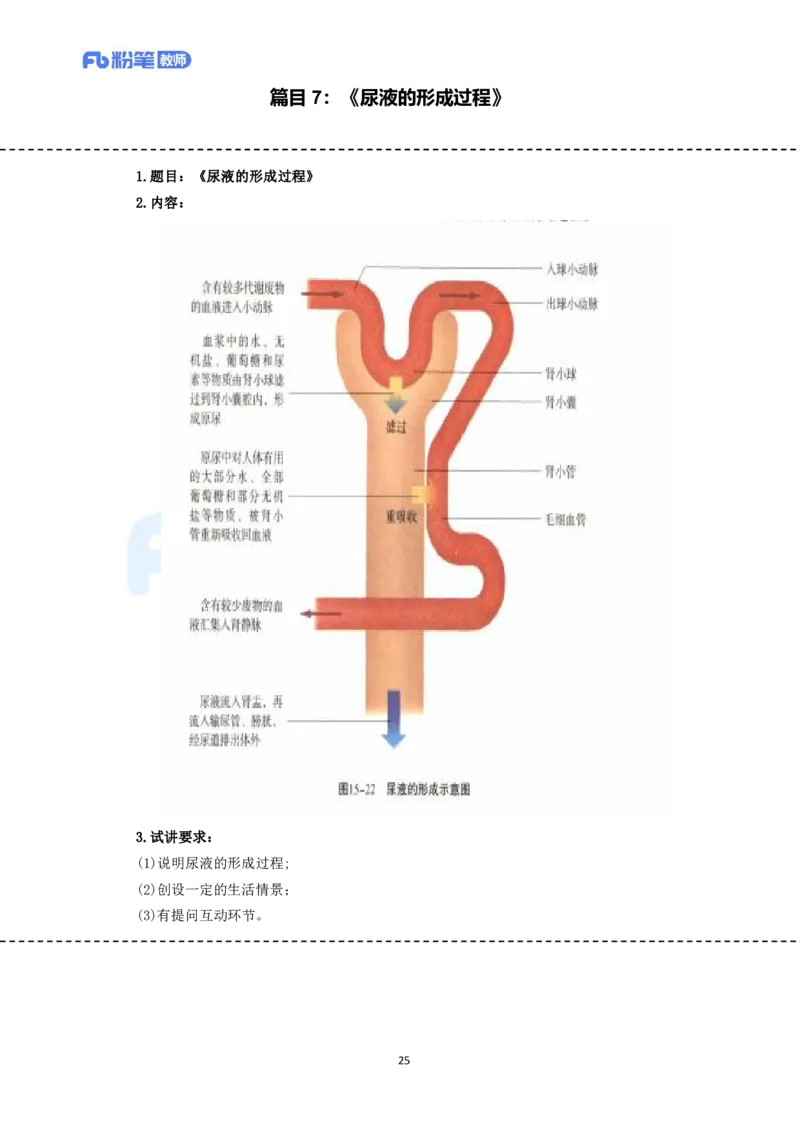 高频试题教资面试-精选考题解析合集-初中生物_教资初高中_教资面试2025教资面试备考资料合集_教资面试资料合集_教资面试各科资料包_生物备考资料包_初中生物