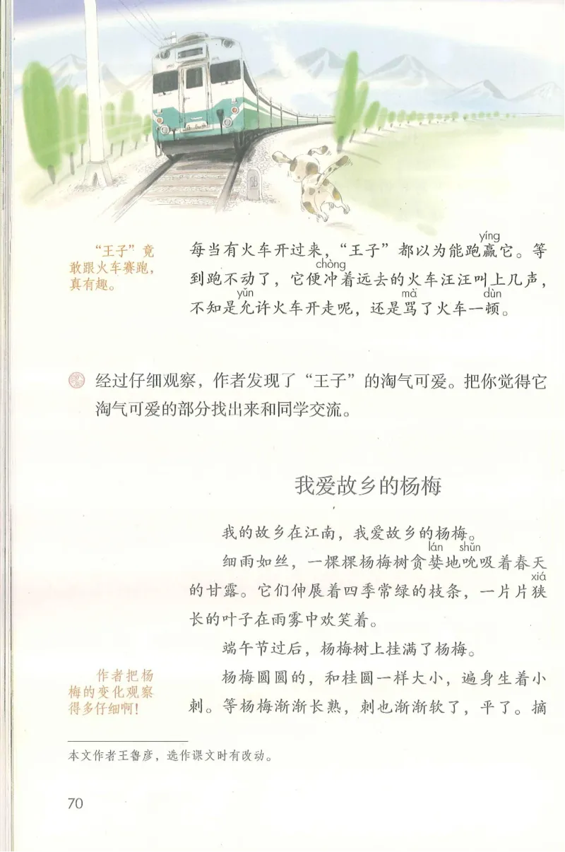 部编版语文3年级上册电子课本(1)_教资初高中_教资面试2025教资面试备考资料合集_教资面试资料合集_2025教资面试资料_25上教资面试-小学资料包_20教材：全册_小学_小学语文