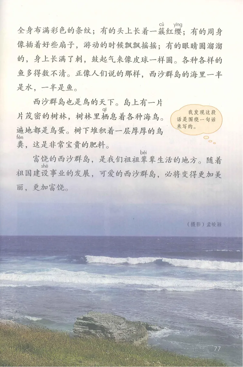 部编版语文3年级上册电子课本(1)_教资初高中_教资面试2025教资面试备考资料合集_教资面试资料合集_2025教资面试资料_25上教资面试-小学资料包_20教材：全册_小学_小学语文