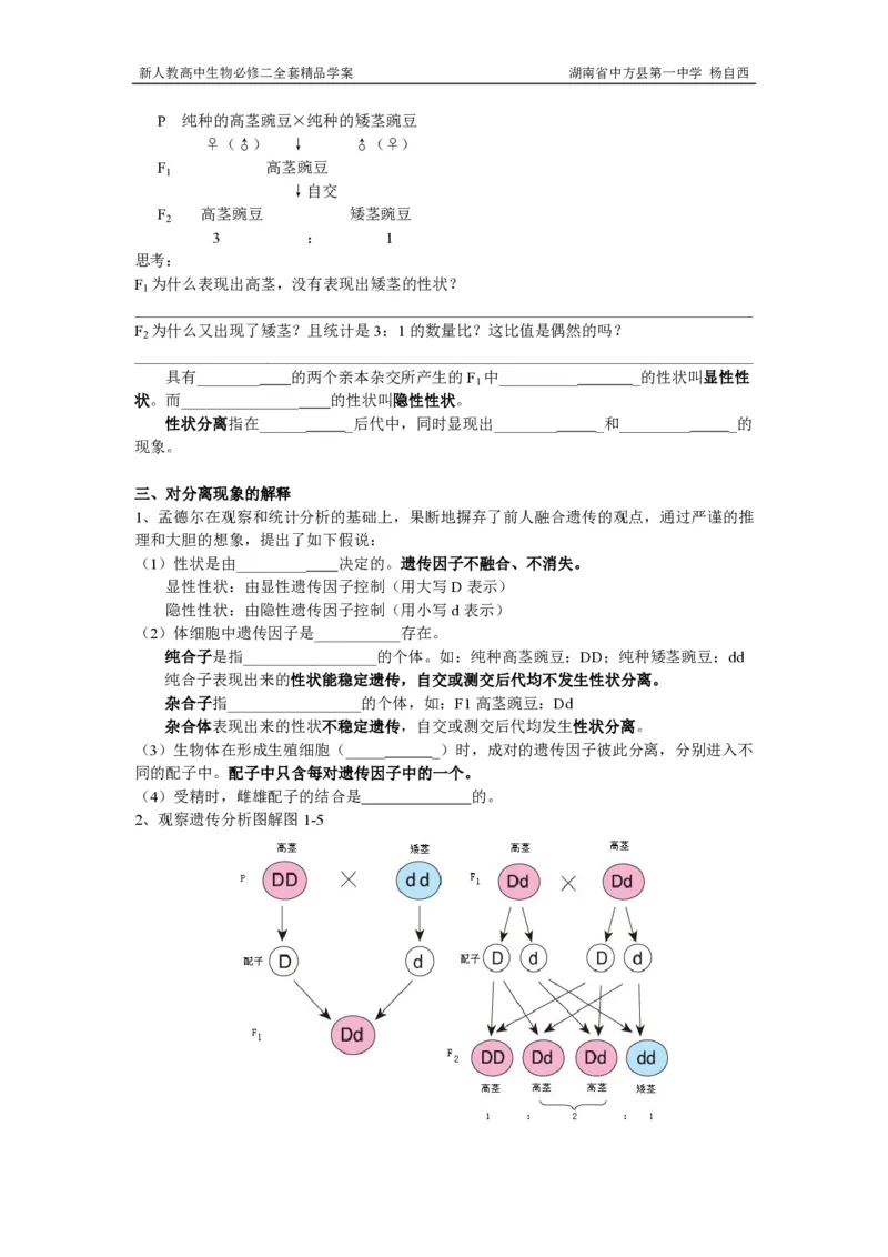 高中生物必修2全套精品学案-教案(1)_教资初高中_教资面试2025教资面试备考资料合集_教资面试资料合集_2025教资面试资料_25上教资面试-小学资料包_19教案：合集_高中学科全册教案