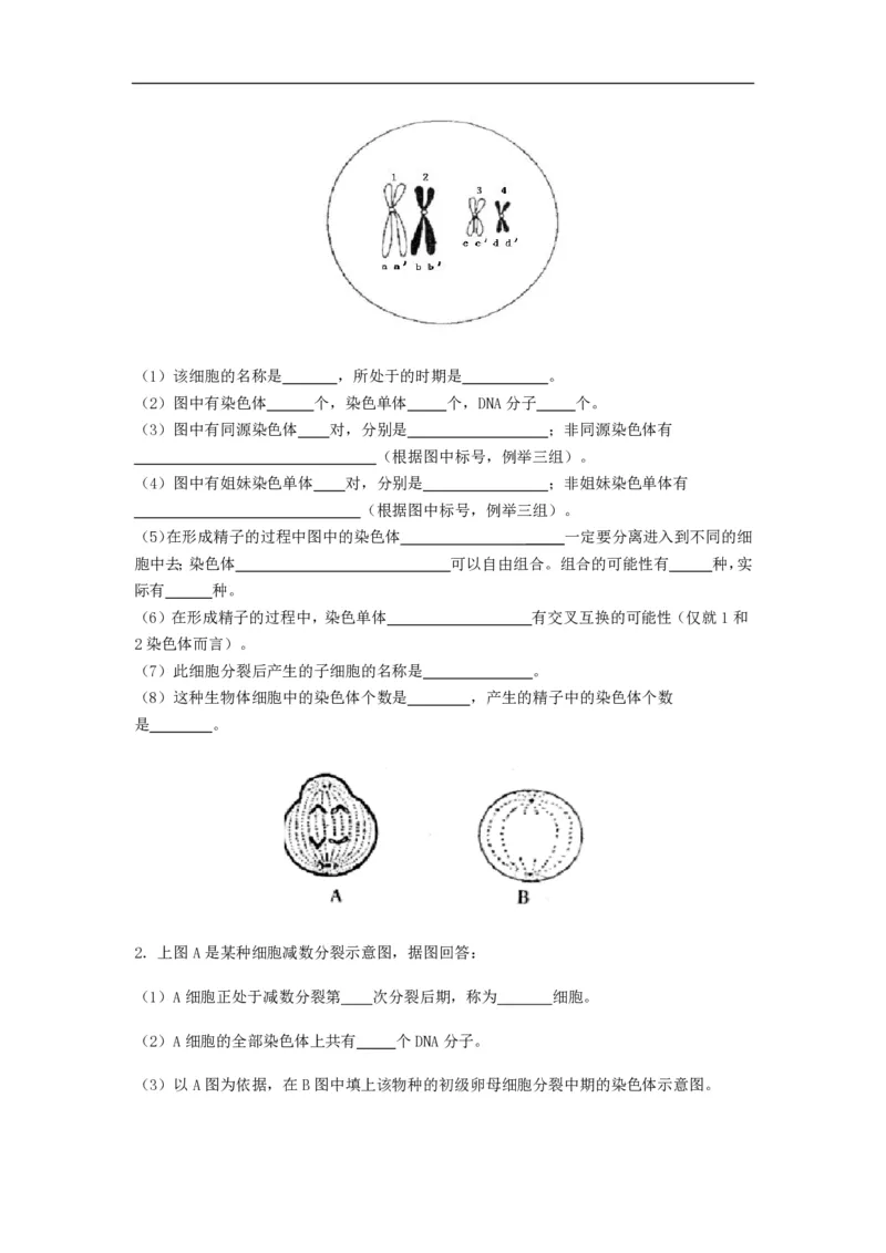 高中生物必修2全套精品学案-教案(1)_教资初高中_教资面试2025教资面试备考资料合集_教资面试资料合集_2025教资面试资料_25上教资面试-小学资料包_19教案：合集_高中学科全册教案