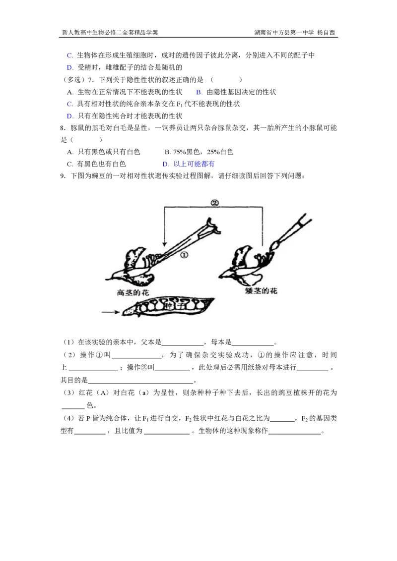 高中生物必修2全套精品学案-教案(1)_教资初高中_教资面试2025教资面试备考资料合集_教资面试资料合集_2025教资面试资料_25上教资面试-小学资料包_19教案：合集_高中学科全册教案