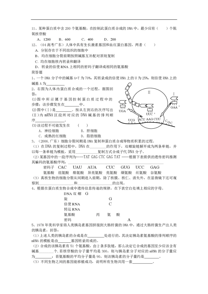高中生物必修2全套精品学案-教案(1)_教资初高中_教资面试2025教资面试备考资料合集_教资面试资料合集_2025教资面试资料_25上教资面试-小学资料包_19教案：合集_高中学科全册教案
