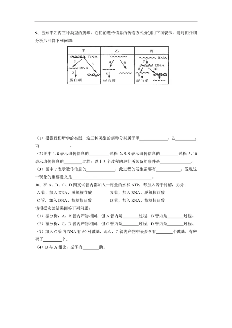高中生物必修2全套精品学案-教案(1)_教资初高中_教资面试2025教资面试备考资料合集_教资面试资料合集_2025教资面试资料_25上教资面试-小学资料包_19教案：合集_高中学科全册教案
