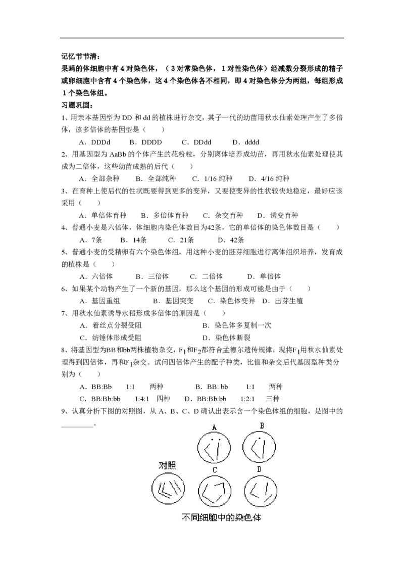 高中生物必修2全套精品学案-教案(1)_教资初高中_教资面试2025教资面试备考资料合集_教资面试资料合集_2025教资面试资料_25上教资面试-小学资料包_19教案：合集_高中学科全册教案