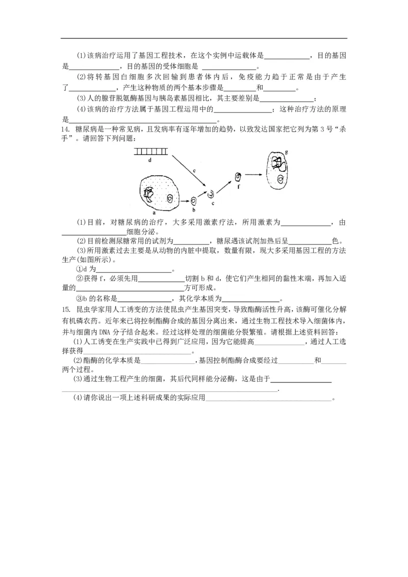 高中生物必修2全套精品学案-教案(1)_教资初高中_教资面试2025教资面试备考资料合集_教资面试资料合集_2025教资面试资料_25上教资面试-小学资料包_19教案：合集_高中学科全册教案