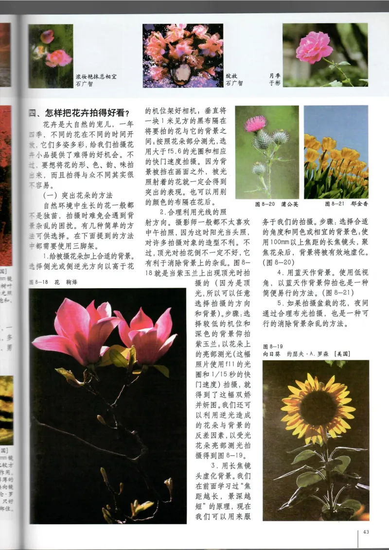 摄影摄像(1)_教资初高中_教资面试2025教资面试备考资料合集_教资面试资料合集_2025教资面试资料_25上教资面试-小学资料包_20教材：全册_高中_高中美术