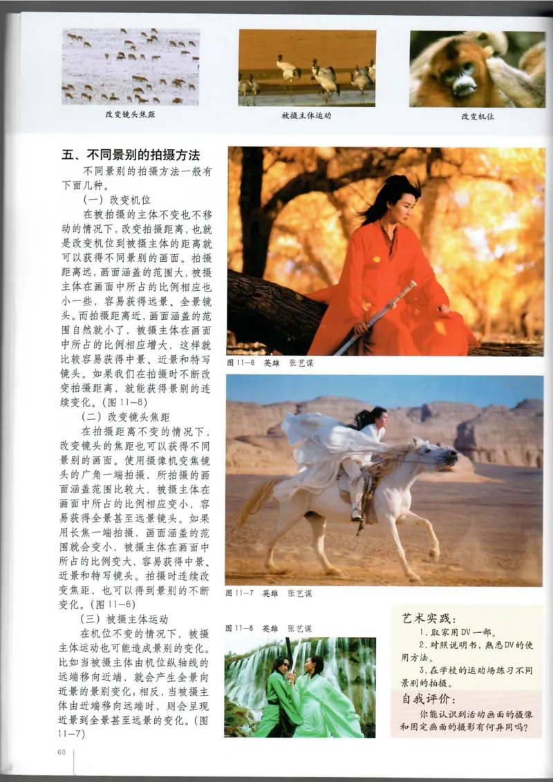 摄影摄像(1)_教资初高中_教资面试2025教资面试备考资料合集_教资面试资料合集_2025教资面试资料_25上教资面试-小学资料包_20教材：全册_高中_高中美术