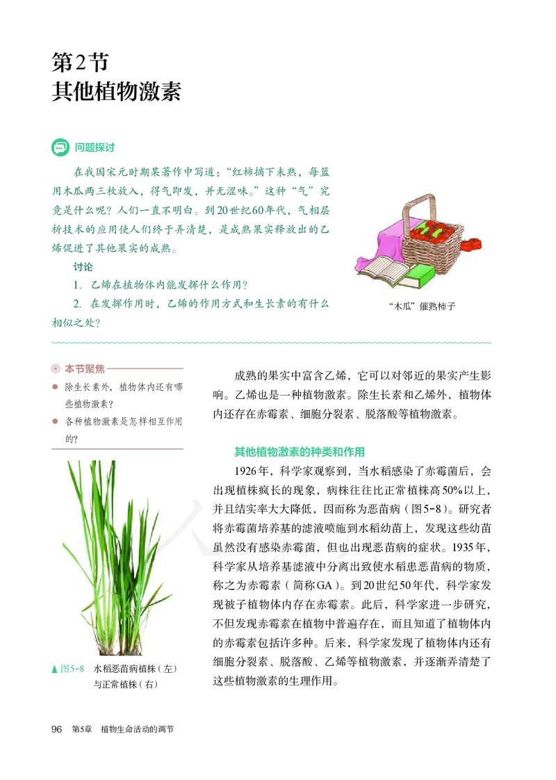 高中选修一生物_教资初高中_教资面试2025教资面试备考资料合集_教资面试资料合集_3、教资面试资料包大全_45大圣中小幼面试资料包_高中_生物_高中生物电子课本