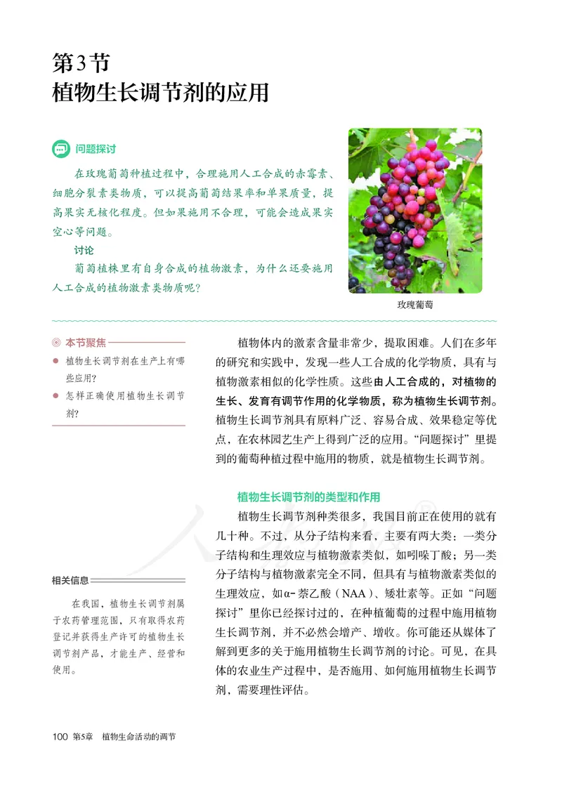 高中选修一生物_教资初高中_教资面试2025教资面试备考资料合集_教资面试资料合集_3、教资面试资料包大全_45大圣中小幼面试资料包_高中_生物_高中生物电子课本