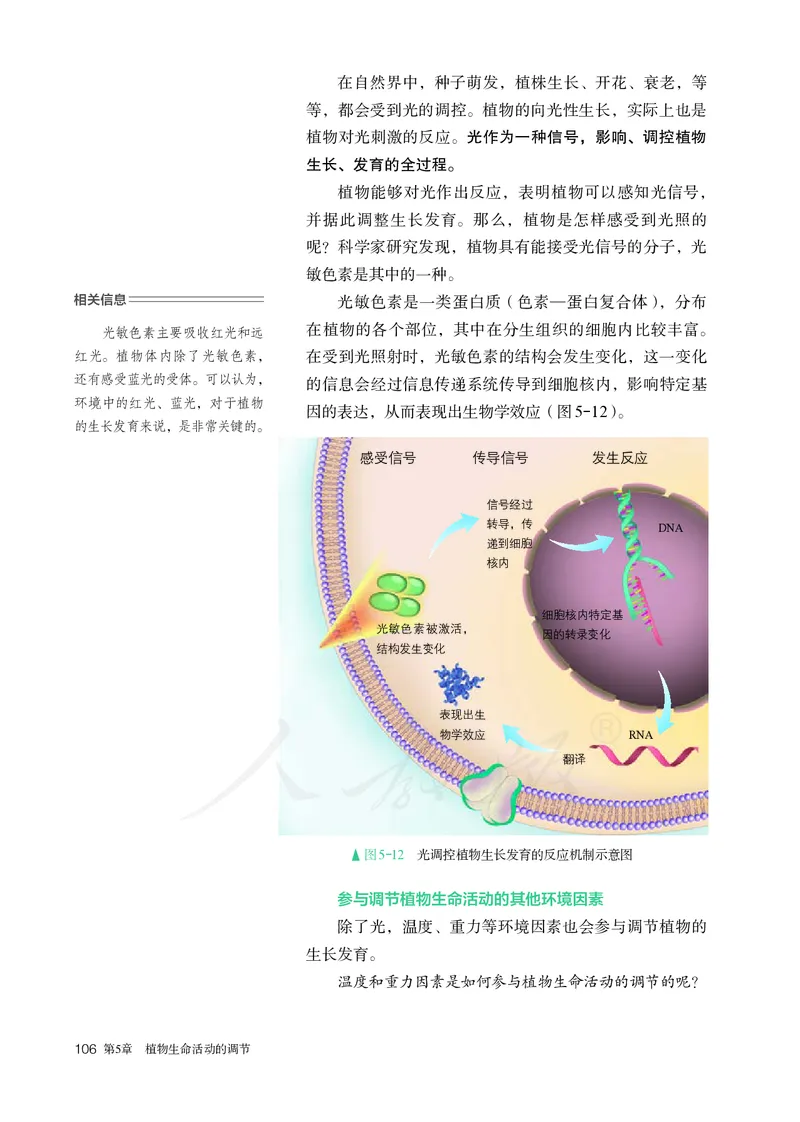 高中选修一生物_教资初高中_教资面试2025教资面试备考资料合集_教资面试资料合集_3、教资面试资料包大全_45大圣中小幼面试资料包_高中_生物_高中生物电子课本
