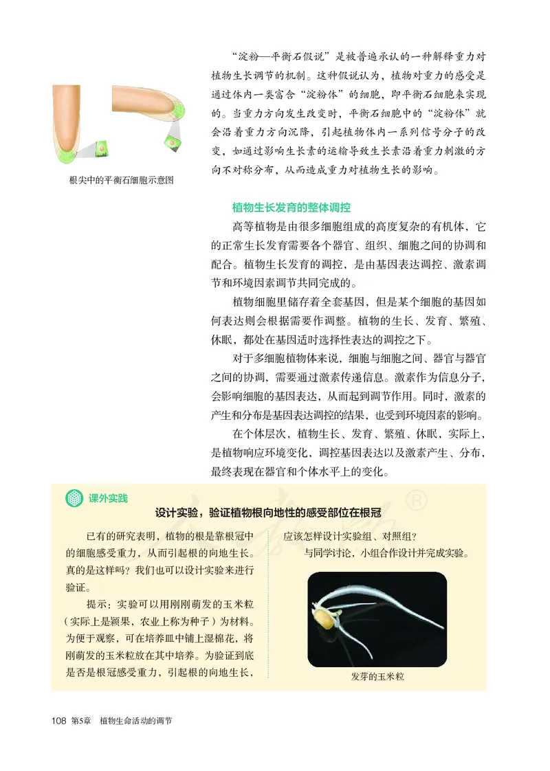 高中选修一生物_教资初高中_教资面试2025教资面试备考资料合集_教资面试资料合集_3、教资面试资料包大全_45大圣中小幼面试资料包_高中_生物_高中生物电子课本