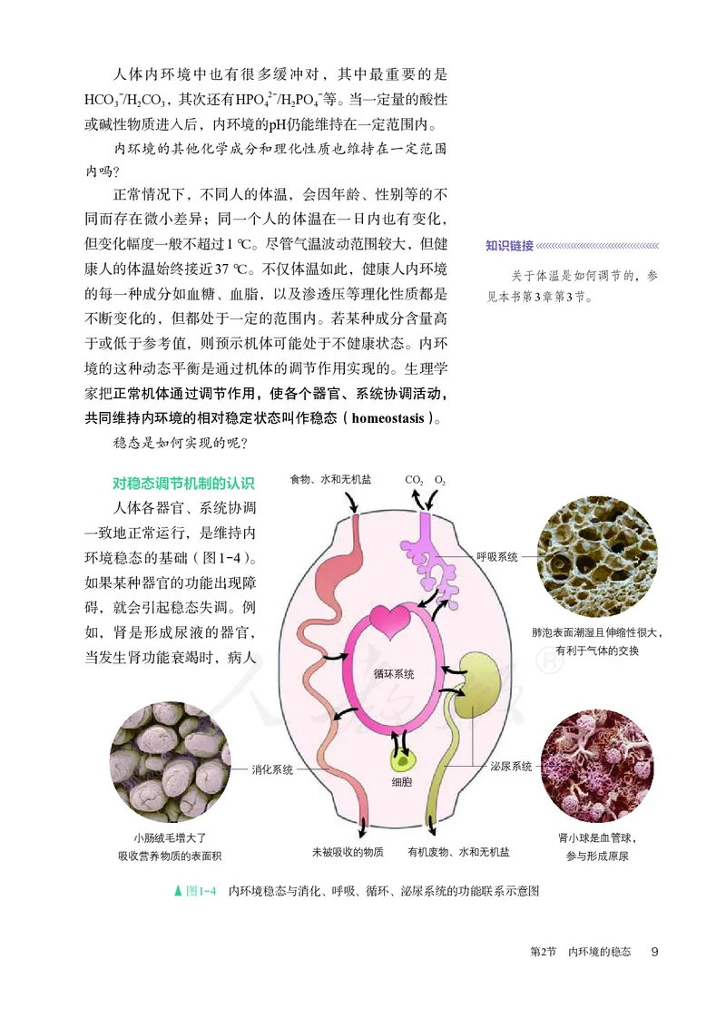 高中选修一生物_教资初高中_教资面试2025教资面试备考资料合集_教资面试资料合集_3、教资面试资料包大全_45大圣中小幼面试资料包_高中_生物_高中生物电子课本