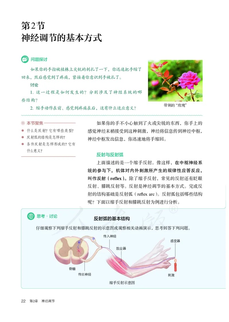 高中选修一生物_教资初高中_教资面试2025教资面试备考资料合集_教资面试资料合集_3、教资面试资料包大全_45大圣中小幼面试资料包_高中_生物_高中生物电子课本