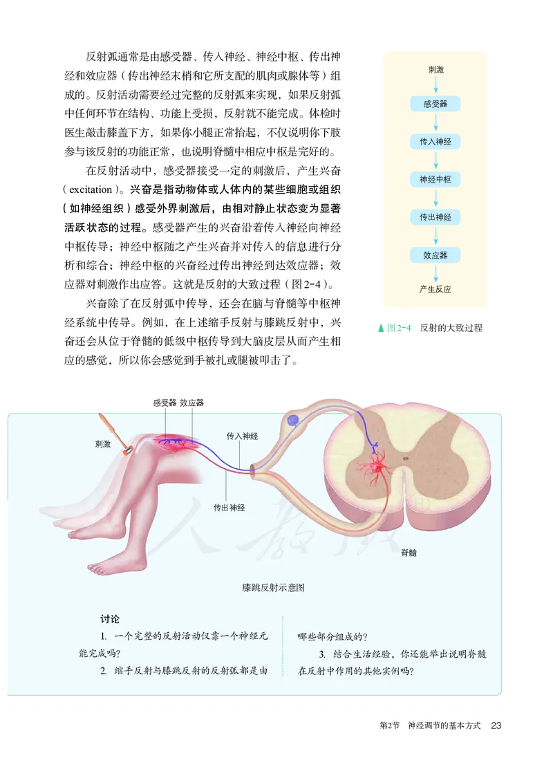 高中选修一生物_教资初高中_教资面试2025教资面试备考资料合集_教资面试资料合集_3、教资面试资料包大全_45大圣中小幼面试资料包_高中_生物_高中生物电子课本