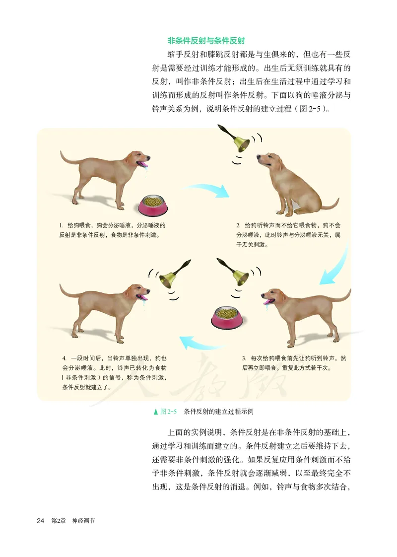 高中选修一生物_教资初高中_教资面试2025教资面试备考资料合集_教资面试资料合集_3、教资面试资料包大全_45大圣中小幼面试资料包_高中_生物_高中生物电子课本