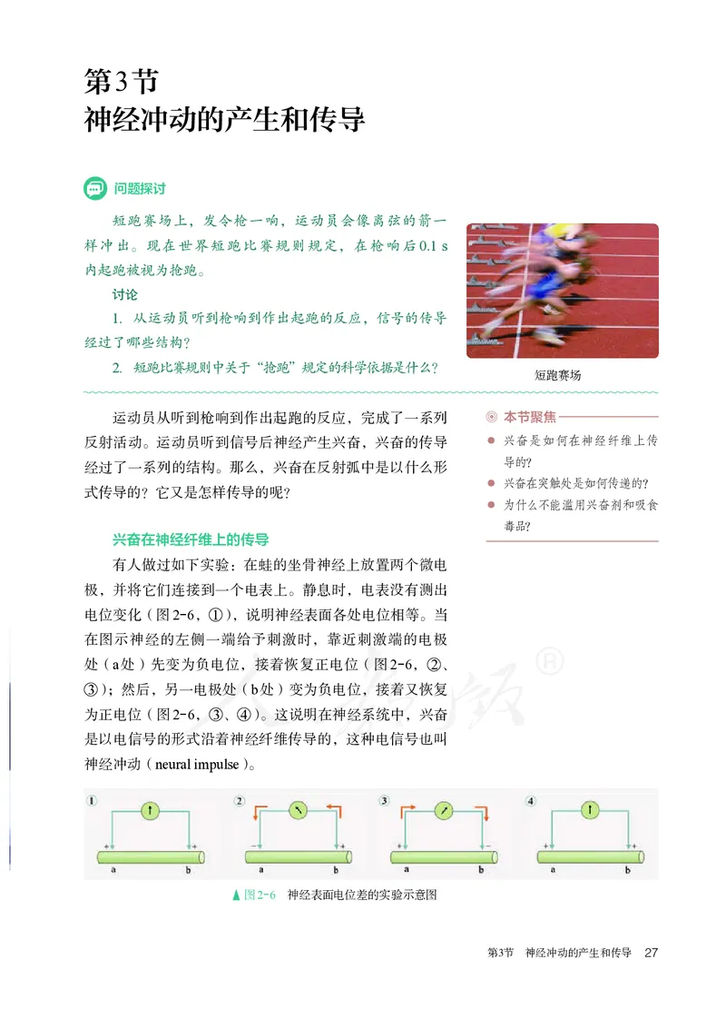 高中选修一生物_教资初高中_教资面试2025教资面试备考资料合集_教资面试资料合集_3、教资面试资料包大全_45大圣中小幼面试资料包_高中_生物_高中生物电子课本