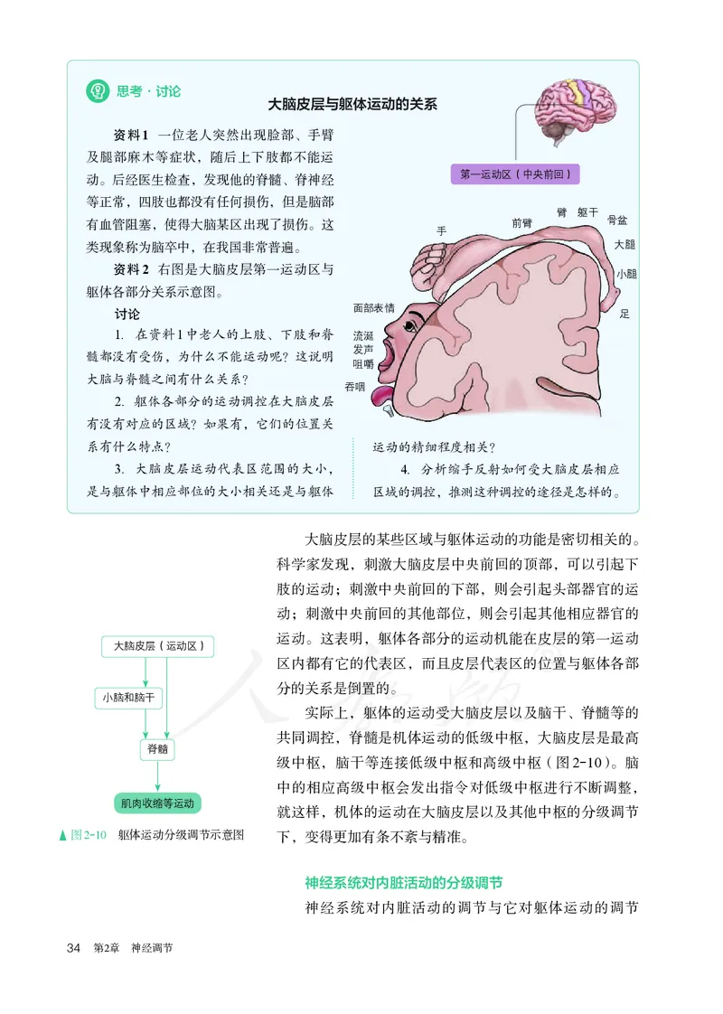 高中选修一生物_教资初高中_教资面试2025教资面试备考资料合集_教资面试资料合集_3、教资面试资料包大全_45大圣中小幼面试资料包_高中_生物_高中生物电子课本