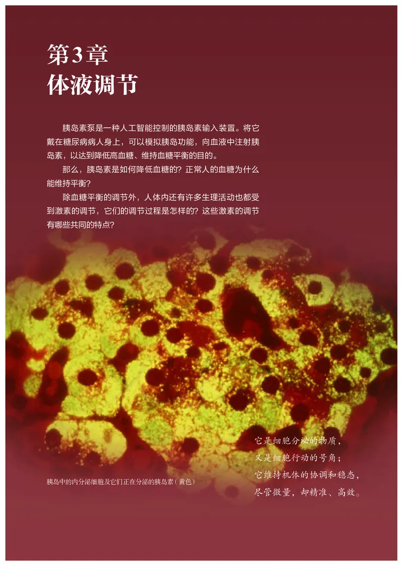 高中选修一生物_教资初高中_教资面试2025教资面试备考资料合集_教资面试资料合集_3、教资面试资料包大全_45大圣中小幼面试资料包_高中_生物_高中生物电子课本