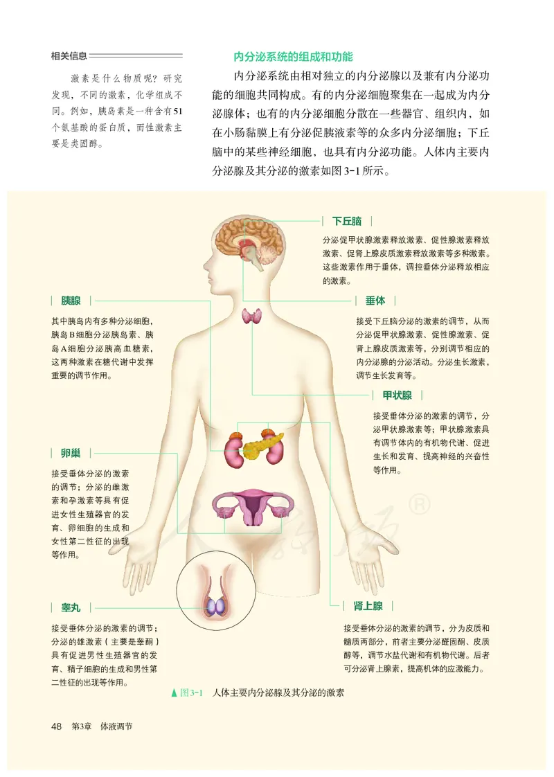高中选修一生物_教资初高中_教资面试2025教资面试备考资料合集_教资面试资料合集_3、教资面试资料包大全_45大圣中小幼面试资料包_高中_生物_高中生物电子课本