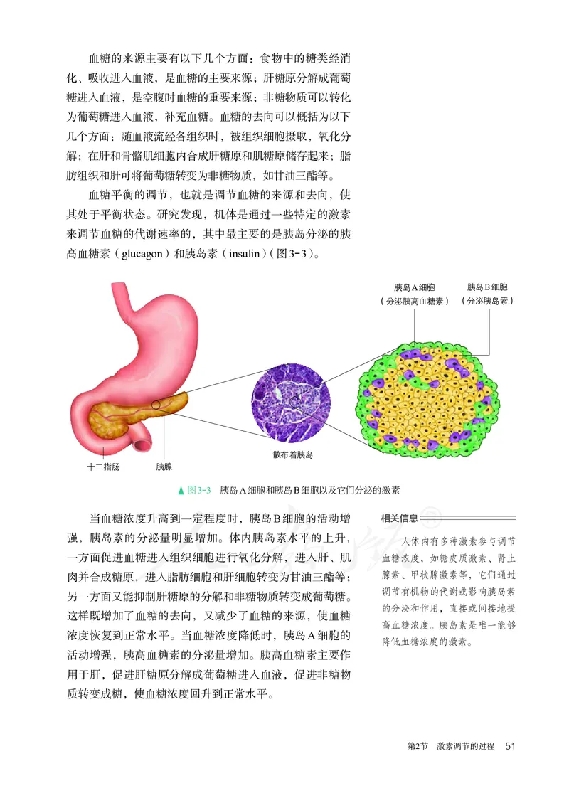 高中选修一生物_教资初高中_教资面试2025教资面试备考资料合集_教资面试资料合集_3、教资面试资料包大全_45大圣中小幼面试资料包_高中_生物_高中生物电子课本