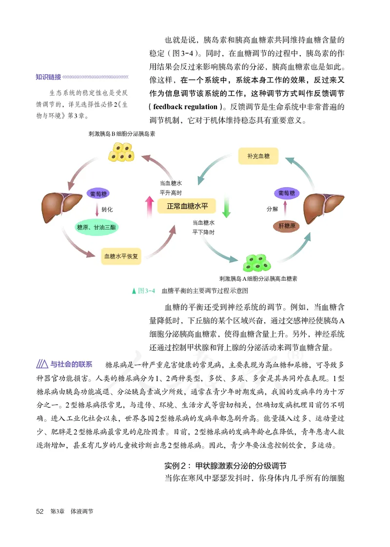 高中选修一生物_教资初高中_教资面试2025教资面试备考资料合集_教资面试资料合集_3、教资面试资料包大全_45大圣中小幼面试资料包_高中_生物_高中生物电子课本