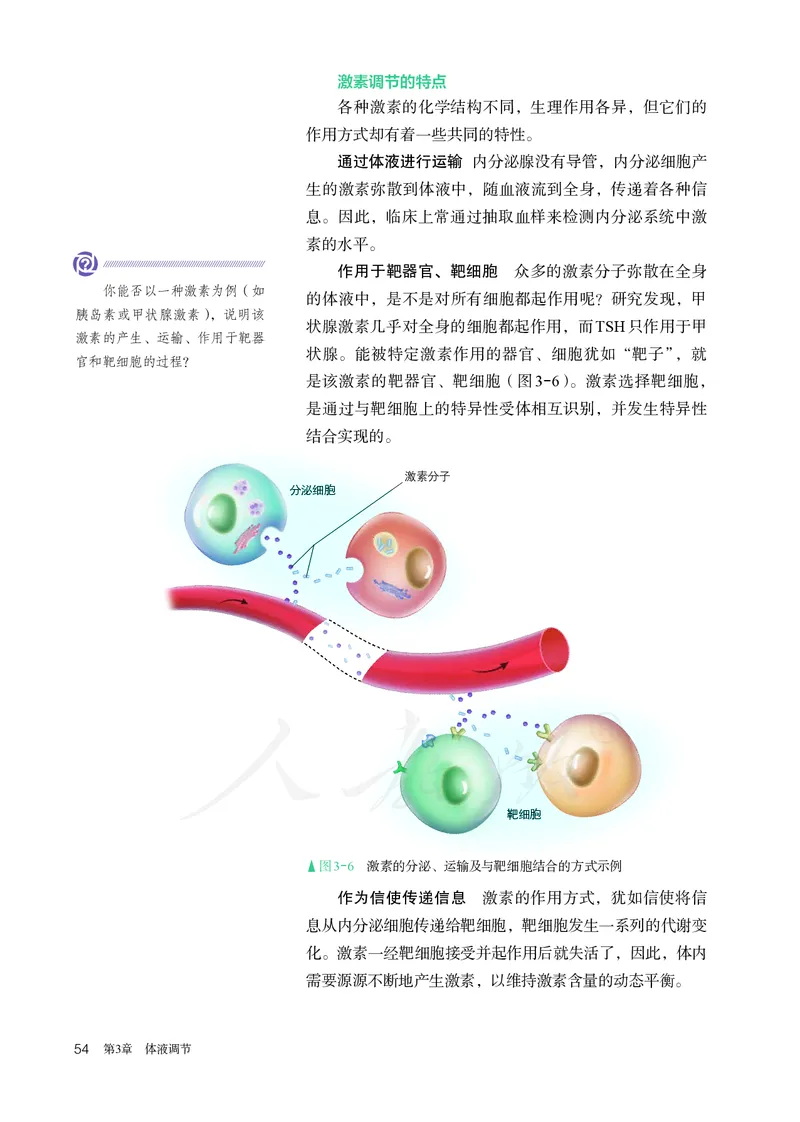 高中选修一生物_教资初高中_教资面试2025教资面试备考资料合集_教资面试资料合集_3、教资面试资料包大全_45大圣中小幼面试资料包_高中_生物_高中生物电子课本