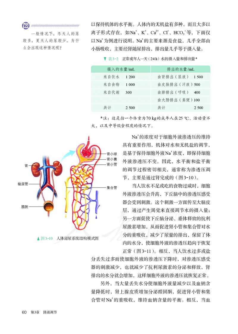 高中选修一生物_教资初高中_教资面试2025教资面试备考资料合集_教资面试资料合集_3、教资面试资料包大全_45大圣中小幼面试资料包_高中_生物_高中生物电子课本
