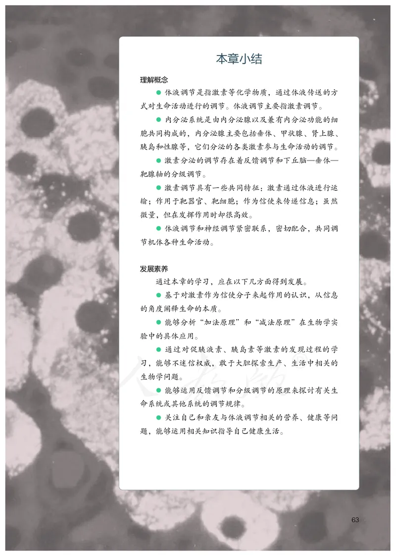 高中选修一生物_教资初高中_教资面试2025教资面试备考资料合集_教资面试资料合集_3、教资面试资料包大全_45大圣中小幼面试资料包_高中_生物_高中生物电子课本