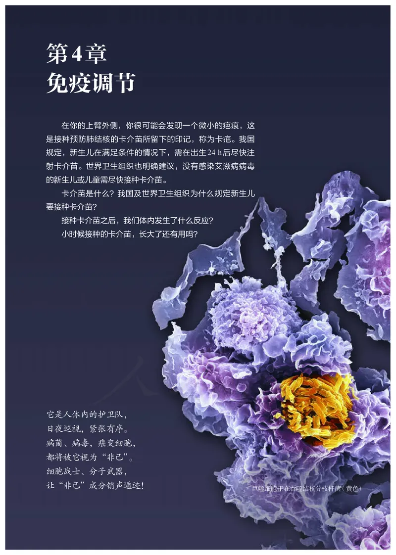 高中选修一生物_教资初高中_教资面试2025教资面试备考资料合集_教资面试资料合集_3、教资面试资料包大全_45大圣中小幼面试资料包_高中_生物_高中生物电子课本