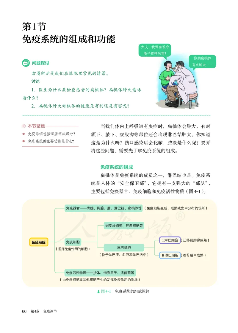 高中选修一生物_教资初高中_教资面试2025教资面试备考资料合集_教资面试资料合集_3、教资面试资料包大全_45大圣中小幼面试资料包_高中_生物_高中生物电子课本