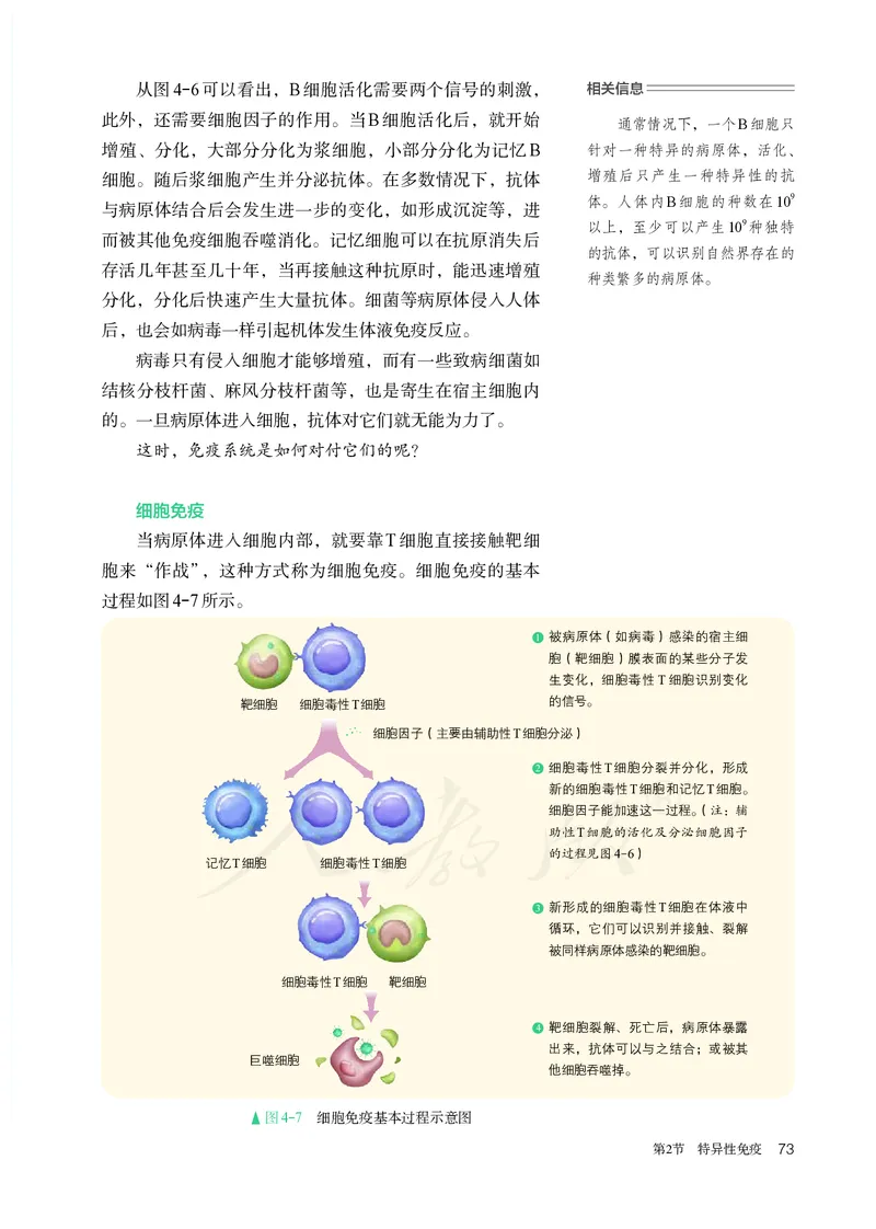高中选修一生物_教资初高中_教资面试2025教资面试备考资料合集_教资面试资料合集_3、教资面试资料包大全_45大圣中小幼面试资料包_高中_生物_高中生物电子课本