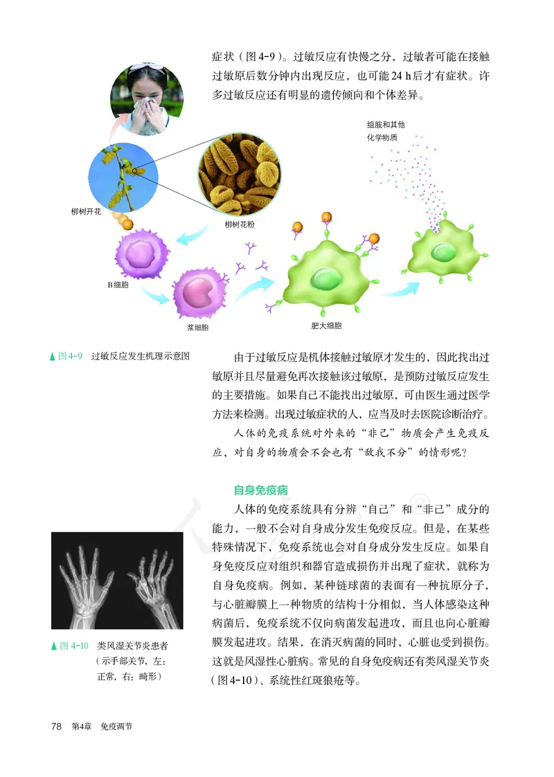 高中选修一生物_教资初高中_教资面试2025教资面试备考资料合集_教资面试资料合集_3、教资面试资料包大全_45大圣中小幼面试资料包_高中_生物_高中生物电子课本