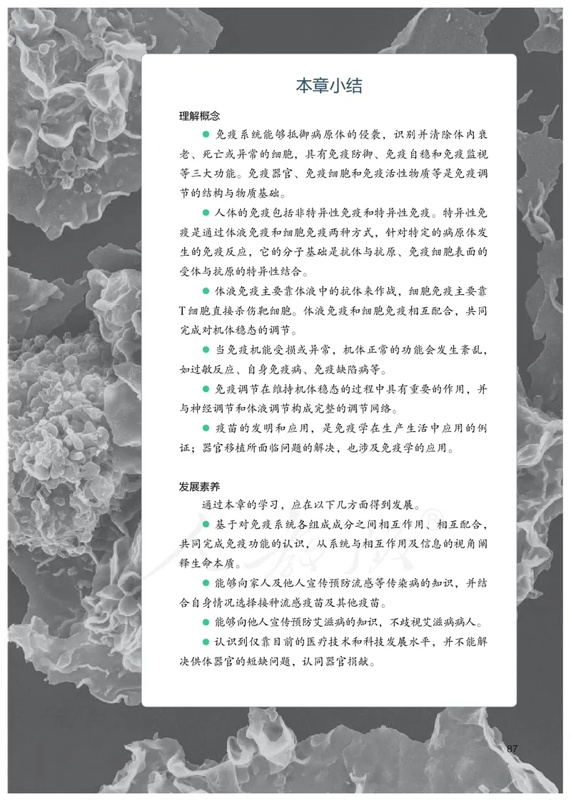 高中选修一生物_教资初高中_教资面试2025教资面试备考资料合集_教资面试资料合集_3、教资面试资料包大全_45大圣中小幼面试资料包_高中_生物_高中生物电子课本