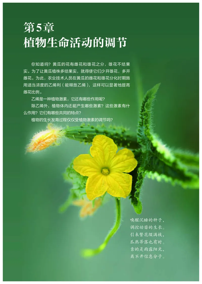 高中选修一生物_教资初高中_教资面试2025教资面试备考资料合集_教资面试资料合集_3、教资面试资料包大全_45大圣中小幼面试资料包_高中_生物_高中生物电子课本