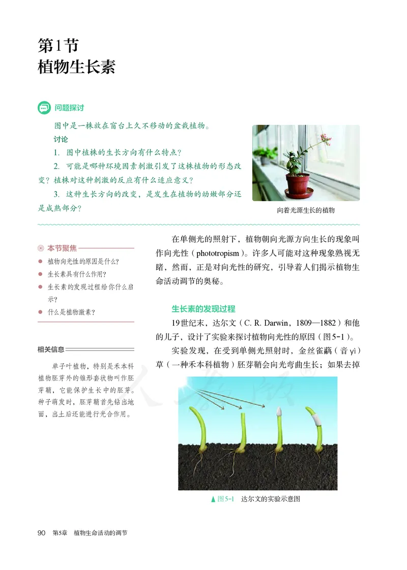 高中选修一生物_教资初高中_教资面试2025教资面试备考资料合集_教资面试资料合集_3、教资面试资料包大全_45大圣中小幼面试资料包_高中_生物_高中生物电子课本