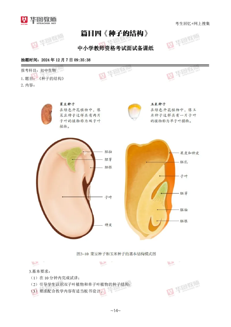 生物_教资初高中_教资面试2025教资面试备考资料合集_教资面试资料合集_2025教资面试资料_04面试真题汇总-含各学科试讲真题（含24下）_2024下半年教资面试真题