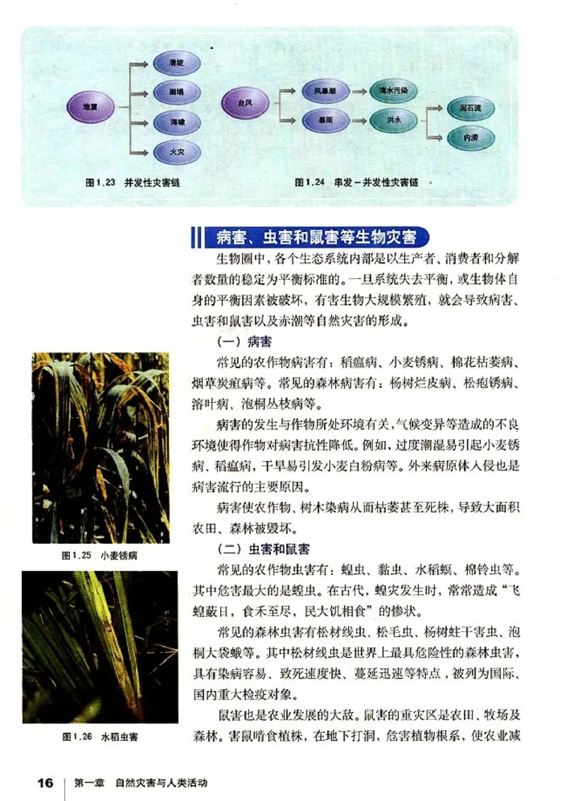 高中地理选修5自然灾害与防治(1)_教资初高中_教资面试2025教资面试备考资料合集_教资面试资料合集_2025教资面试资料_25上教资面试-小学资料包_20教材：全册_高中_高中地理