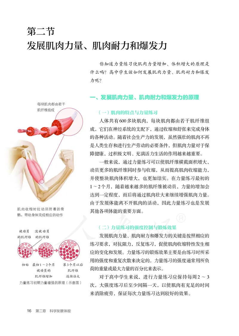 高中体育与健康_教资初高中_教资面试2025教资面试备考资料合集_教资面试资料合集_3、教资面试资料包大全_45大圣中小幼面试资料包_高中_体育_高中体育