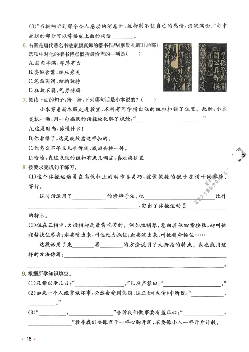 2025版一本5升6预备六年级语文复习巩固册_小学资料合集_2025版小学《一本预习衔接》1-6年级语文数学英语_一本预备六年级语数英25年