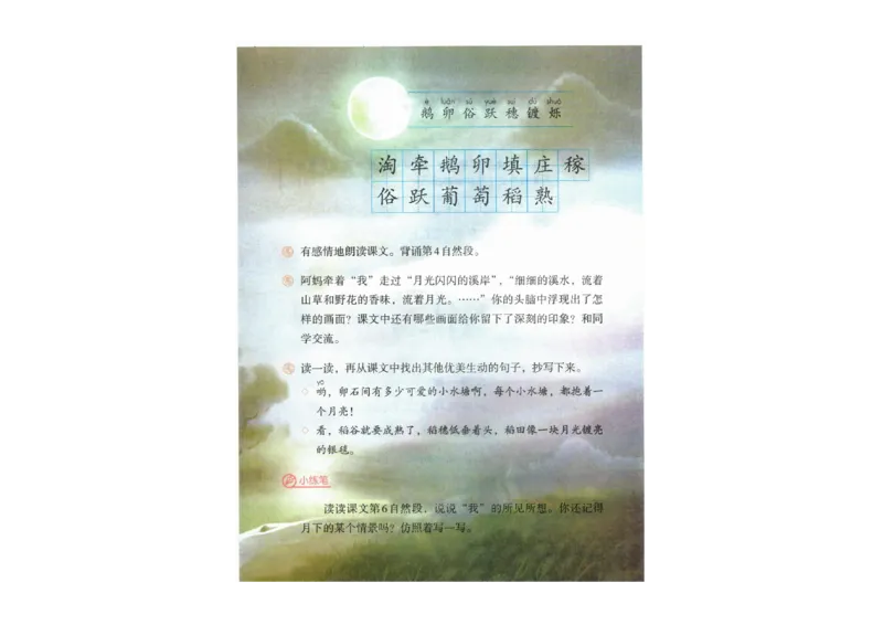 部编版语文4年级上册电子课本(1)_教资初高中_教资面试2025教资面试备考资料合集_教资面试资料合集_2025教资面试资料_25上教资面试-小学资料包_20教材：全册_小学_小学语文