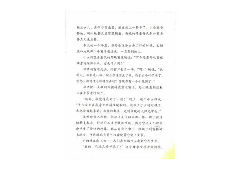 部编版语文4年级上册电子课本(1)_教资初高中_教资面试2025教资面试备考资料合集_教资面试资料合集_2025教资面试资料_25上教资面试-小学资料包_20教材：全册_小学_小学语文