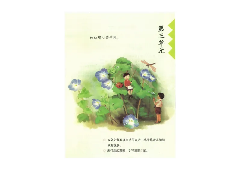 部编版语文4年级上册电子课本(1)_教资初高中_教资面试2025教资面试备考资料合集_教资面试资料合集_2025教资面试资料_25上教资面试-小学资料包_20教材：全册_小学_小学语文